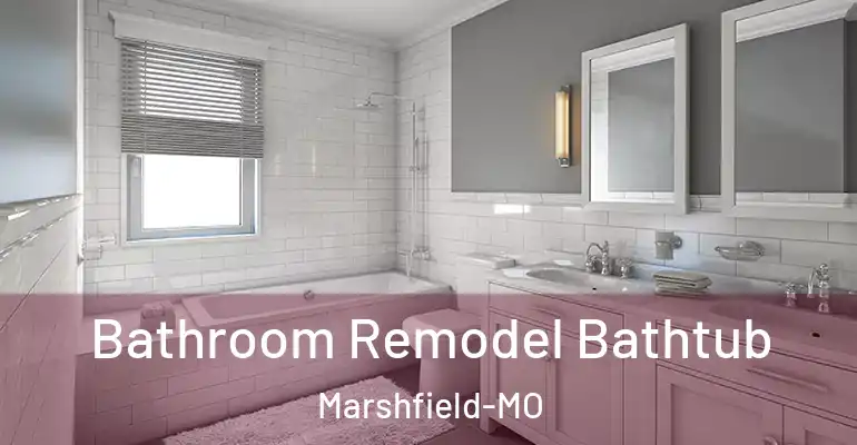 inner Bathroom imggen Bathroom Remodel Bathtub Marshfield-MO
