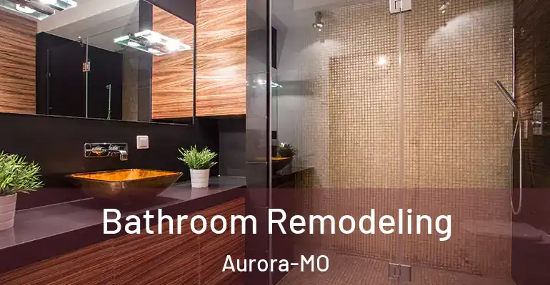 inner Bathroom imggen Bathroom Remodeling Aurora-MO
