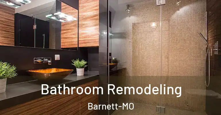 inner Bathroom imggen Bathroom Remodeling Barnett-MO