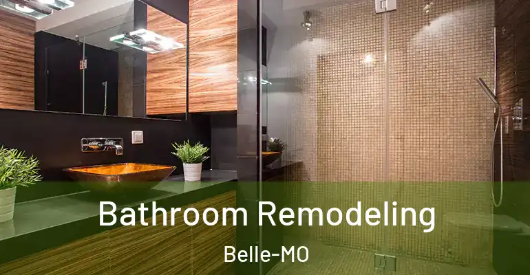 inner Bathroom imggen Bathroom Remodeling Belle-MO