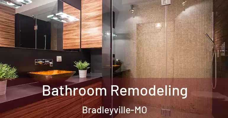 inner Bathroom imggen Bathroom Remodeling Bradleyville-MO