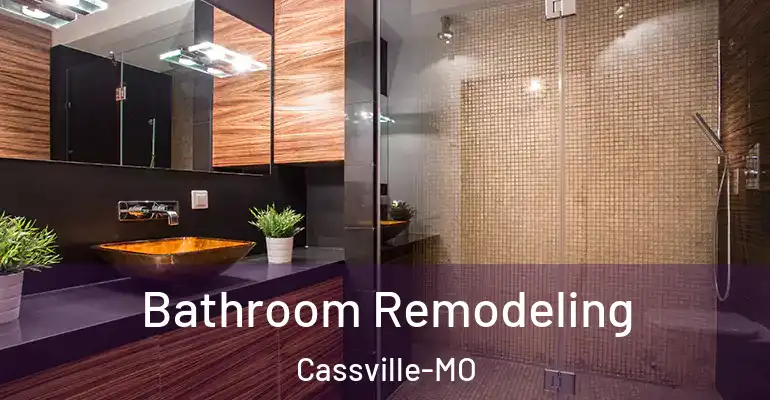 inner Bathroom imggen Bathroom Remodeling Cassville-MO