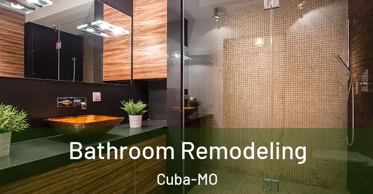 inner Bathroom imggen Bathroom Remodeling Cuba-MO