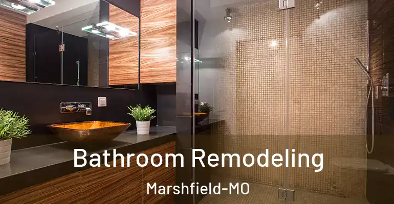 inner Bathroom imggen Bathroom Remodeling Marshfield-MO