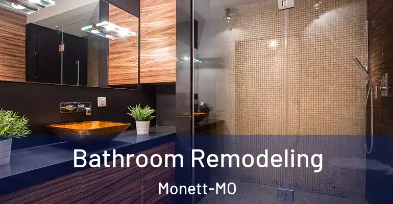 inner Bathroom imggen Bathroom Remodeling Monett-MO