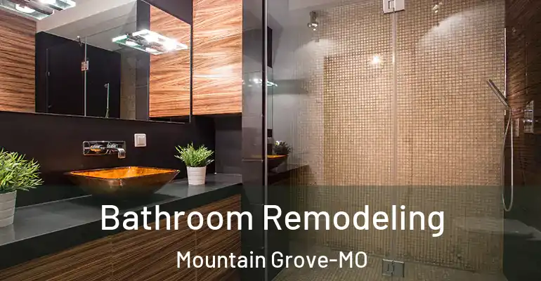 inner Bathroom imggen Bathroom Remodeling Mountain Grove-MO