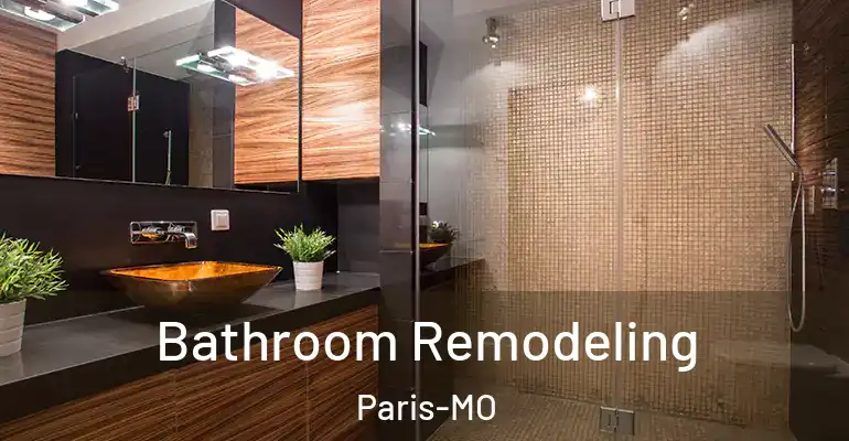 inner Bathroom imggen Bathroom Remodeling Paris-MO