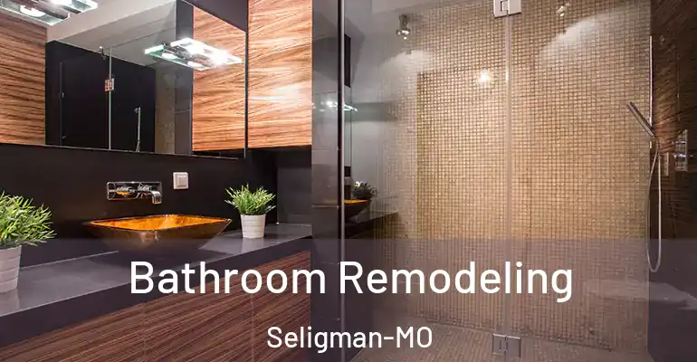 inner Bathroom imggen Bathroom Remodeling Seligman-MO