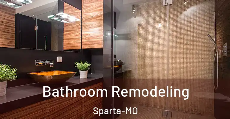 inner Bathroom imggen Bathroom Remodeling Sparta-MO
