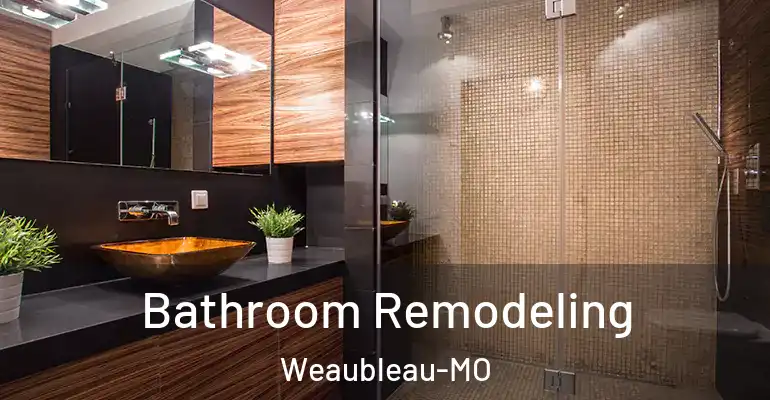 inner Bathroom imggen Bathroom Remodeling Weaubleau-MO
