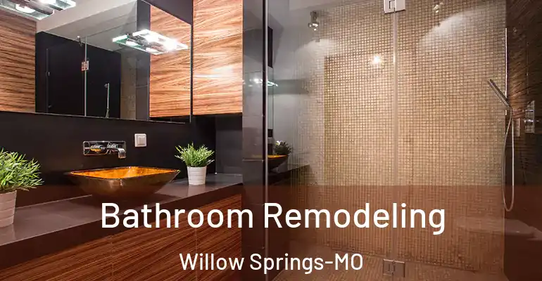 inner Bathroom imggen Bathroom Remodeling Willow Springs-MO