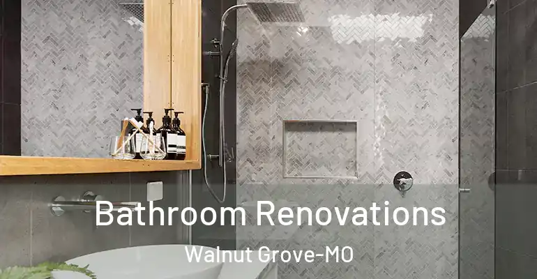 inner Bathroom imggen Bathroom Renovations Walnut Grove-MO
