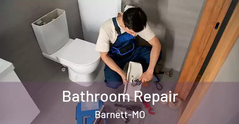 inner Bathroom imggen Bathroom Repair Barnett-MO