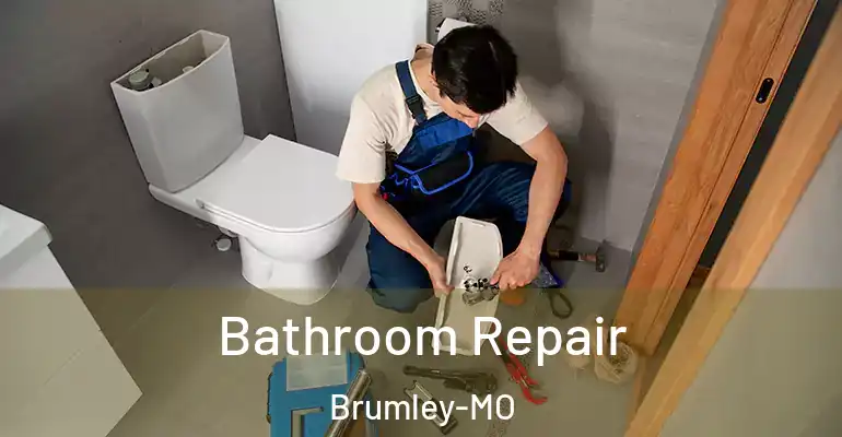 inner Bathroom imggen Bathroom Repair Brumley-MO