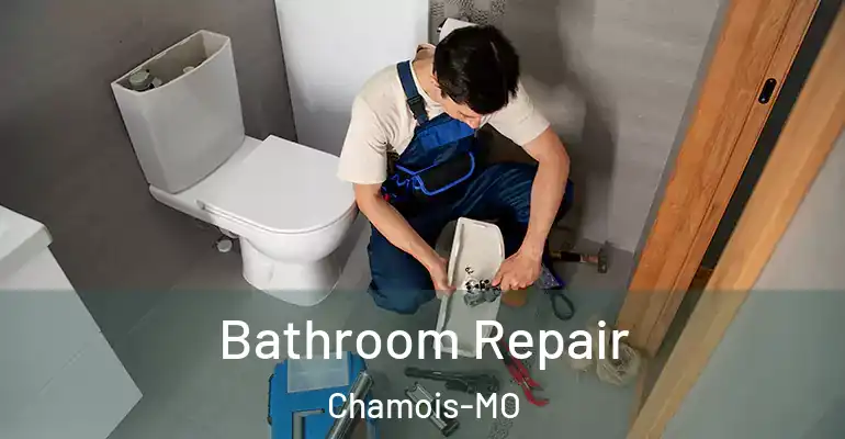 inner Bathroom imggen Bathroom Repair Chamois-MO