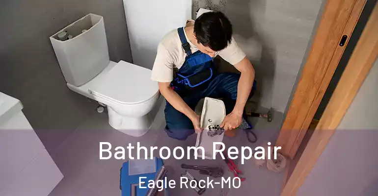 inner Bathroom imggen Bathroom Repair Eagle Rock-MO