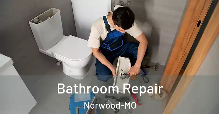 inner Bathroom imggen Bathroom Repair Norwood-MO