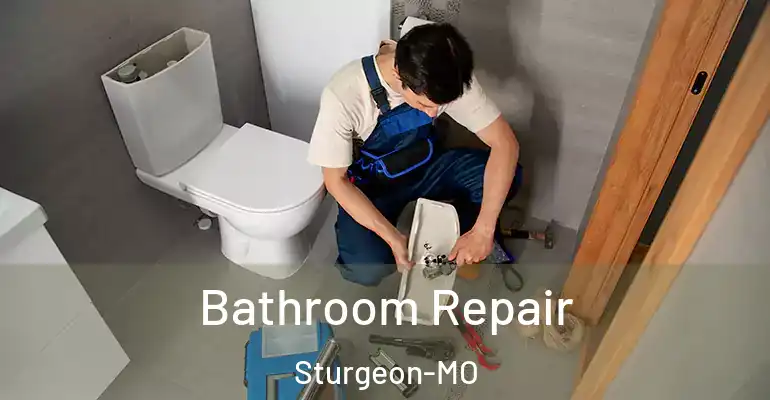 inner Bathroom imggen Bathroom Repair Sturgeon-MO