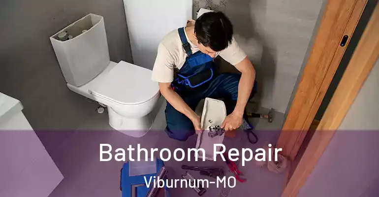 inner Bathroom imggen Bathroom Repair Viburnum-MO