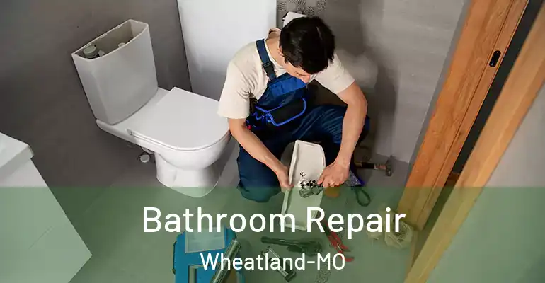inner Bathroom imggen Bathroom Repair Wheatland-MO
