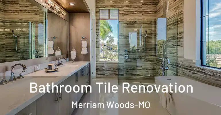 inner Bathroom imggen Bathroom Tile Renovation Merriam Woods-MO