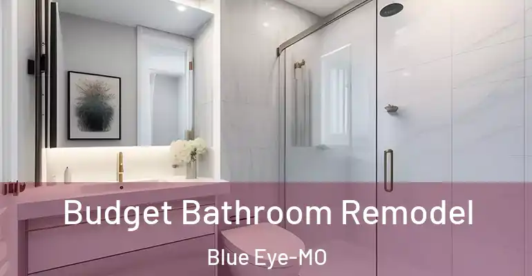 inner Bathroom imggen Budget Bathroom Remodel Blue Eye-MO