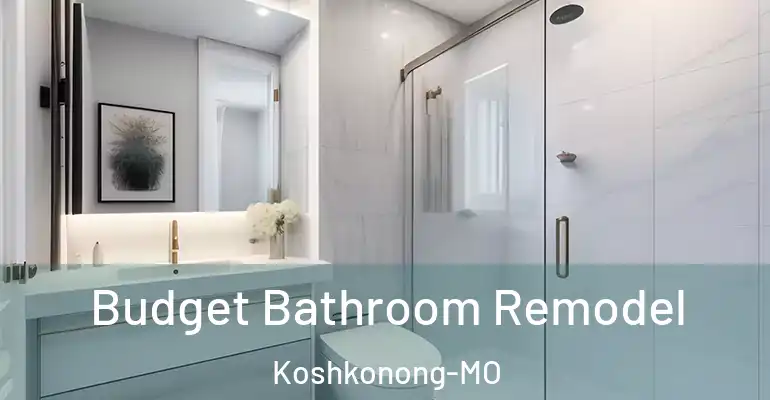 inner Bathroom imggen Budget Bathroom Remodel Koshkonong-MO