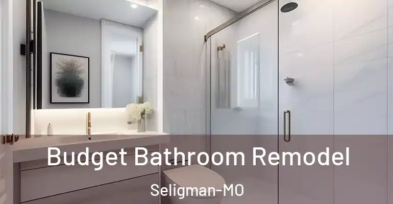 inner Bathroom imggen Budget Bathroom Remodel Seligman-MO