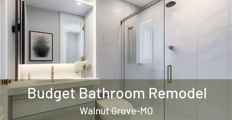 inner Bathroom imggen Budget Bathroom Remodel Walnut Grove-MO