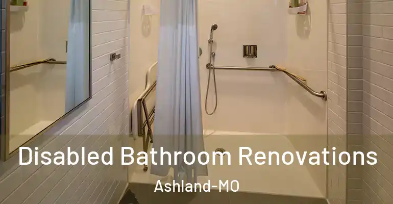 inner Bathroom imggen Disabled Bathroom Renovations Ashland-MO