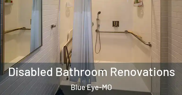 inner Bathroom imggen Disabled Bathroom Renovations Blue Eye-MO