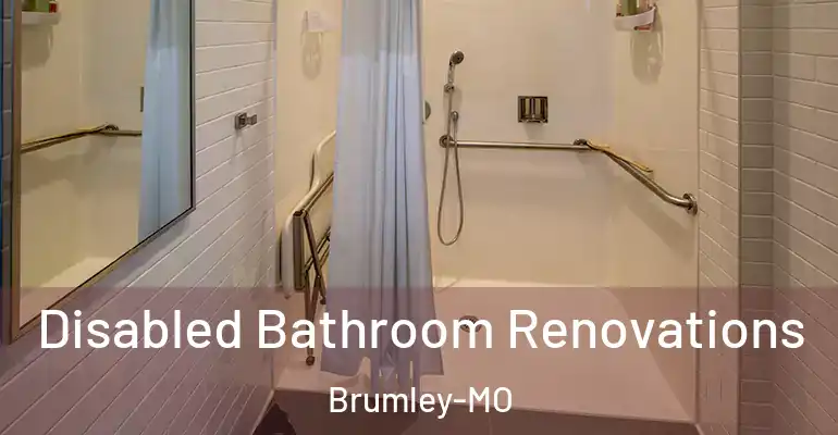 inner Bathroom imggen Disabled Bathroom Renovations Brumley-MO