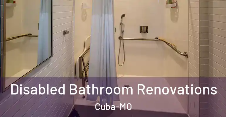 inner Bathroom imggen Disabled Bathroom Renovations Cuba-MO