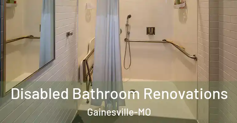 inner Bathroom imggen Disabled Bathroom Renovations Gainesville-MO