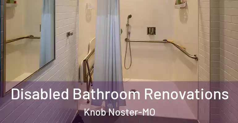 inner Bathroom imggen Disabled Bathroom Renovations Knob Noster-MO