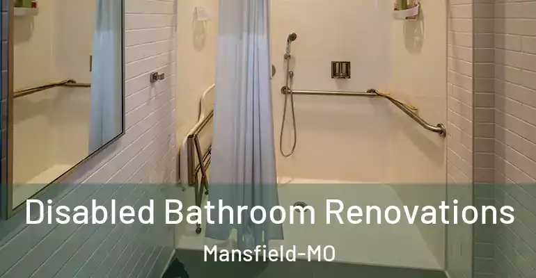 inner Bathroom imggen Disabled Bathroom Renovations Mansfield-MO