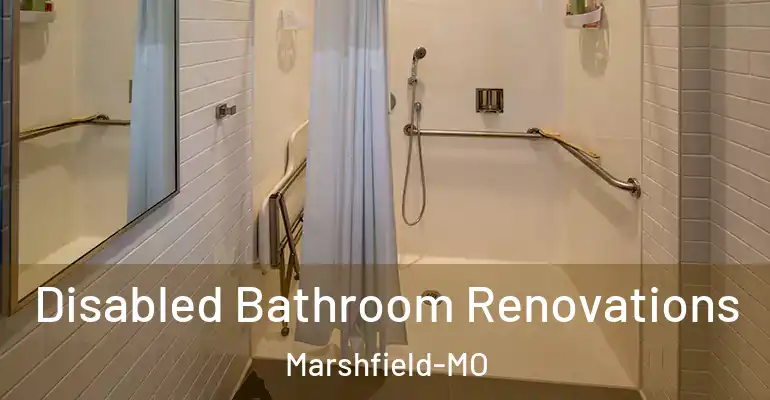 inner Bathroom imggen Disabled Bathroom Renovations Marshfield-MO