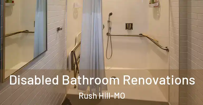 inner Bathroom imggen Disabled Bathroom Renovations Rush Hill-MO
