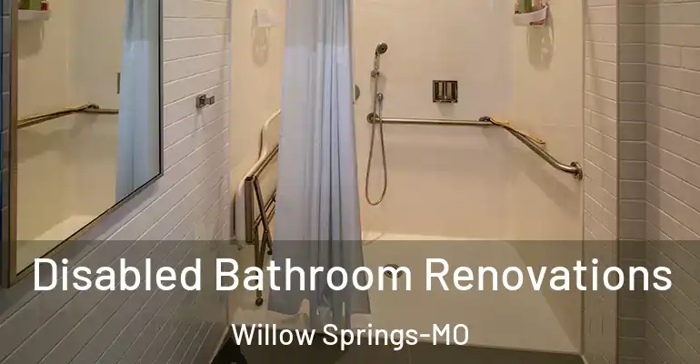 inner Bathroom imggen Disabled Bathroom Renovations Willow Springs-MO