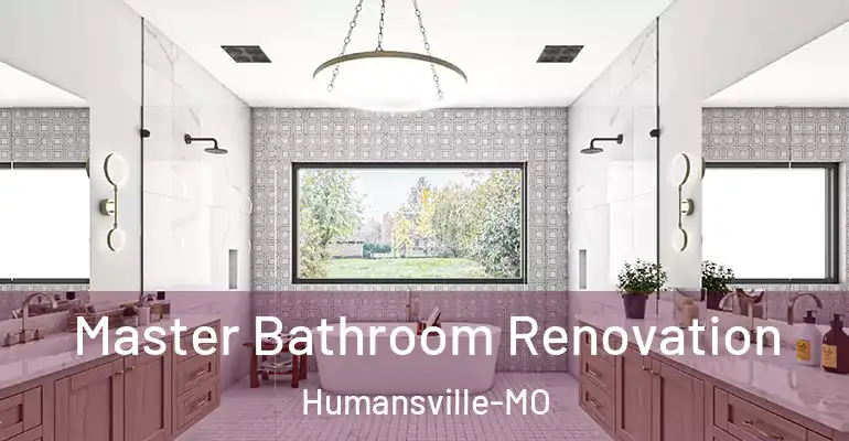 inner Bathroom imggen Master Bathroom Renovation Humansville-MO