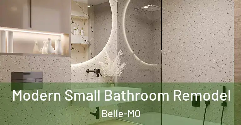 inner Bathroom imggen Modern Small Bathroom Remodel Belle-MO