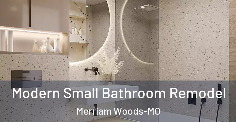 inner Bathroom imggen Modern Small Bathroom Remodel Merriam Woods-MO
