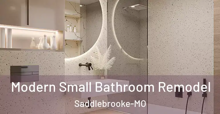 inner Bathroom imggen Modern Small Bathroom Remodel Saddlebrooke-MO