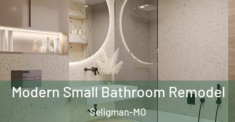 inner Bathroom imggen Modern Small Bathroom Remodel Seligman-MO