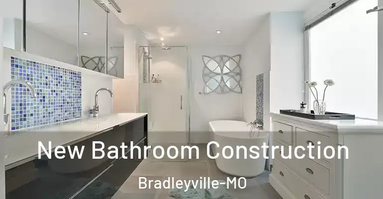 inner Bathroom imggen New Bathroom Construction Bradleyville-MO