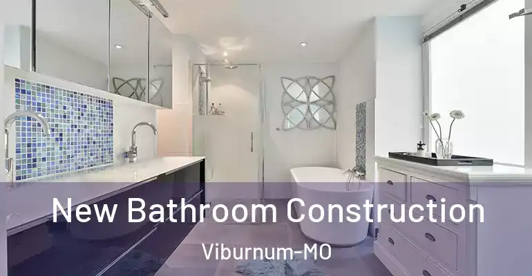 inner Bathroom imggen New Bathroom Construction Viburnum-MO