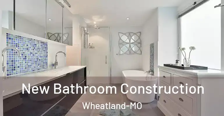 inner Bathroom imggen New Bathroom Construction Wheatland-MO