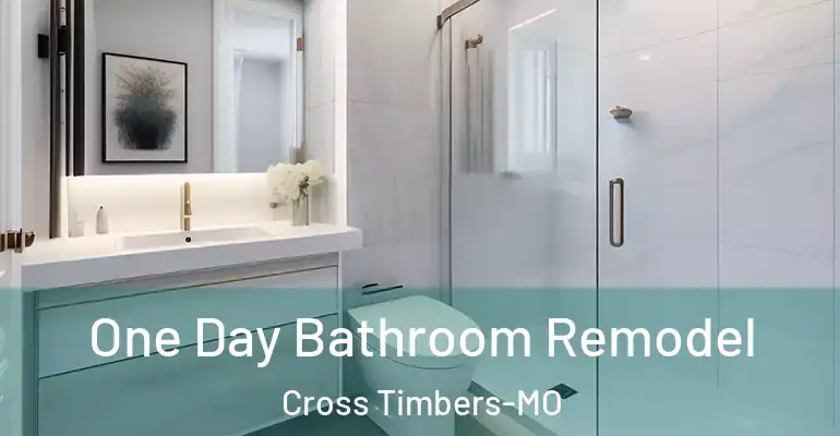 inner Bathroom imggen One Day Bathroom Remodel Cross Timbers-MO