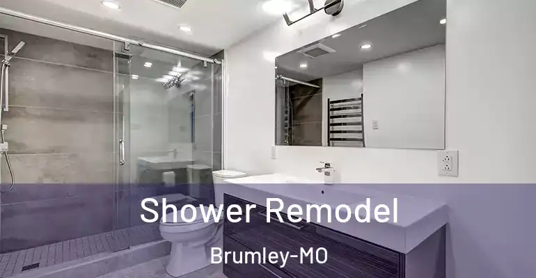 inner Bathroom imggen Shower Remodel Brumley-MO