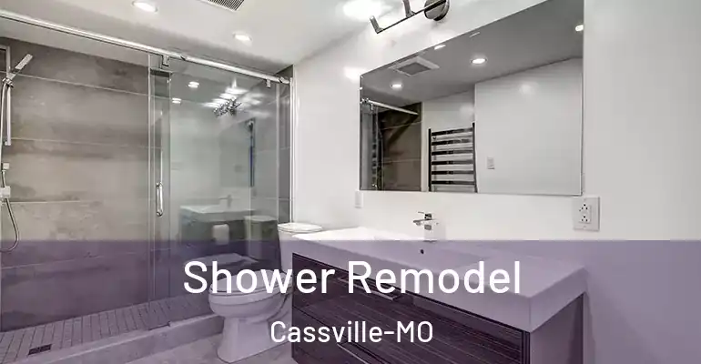 inner Bathroom imggen Shower Remodel Cassville-MO